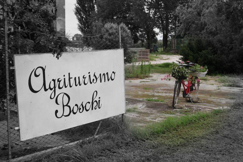 Agriturismo Boschi Villa Reggiolo Екстериор снимка